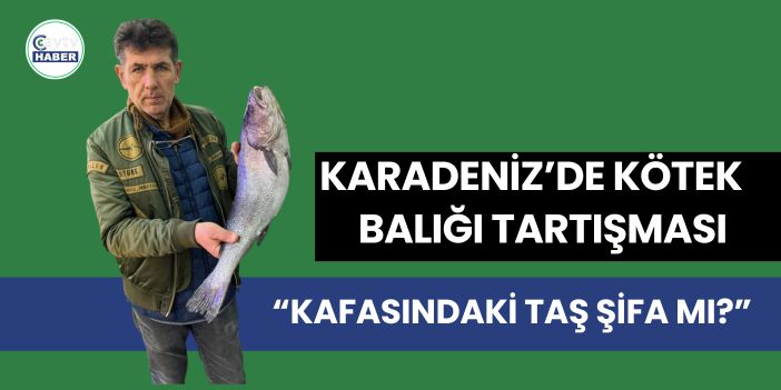 Karadeniz’de Kötek Balığı Tartışması: “Kafasındaki Taş Şifa mı?”