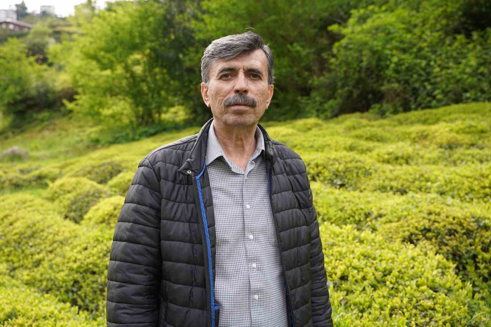 Doğu Karadeniz’de Çay Sezonu Öncesi Hazırlıklar Tamamlanıyor