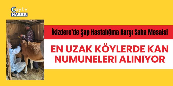 İkizdere’de Şap Hastalığına Karşı Saha Mesaisi: En Uzak Köylerde Kan Numuneleri Alınıyor