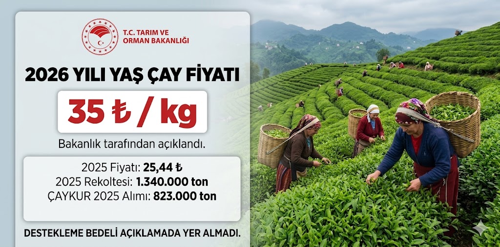 Tarım ve Orman Bakanlığı 2026 Yaş Çay Fiyatını Açıkladı