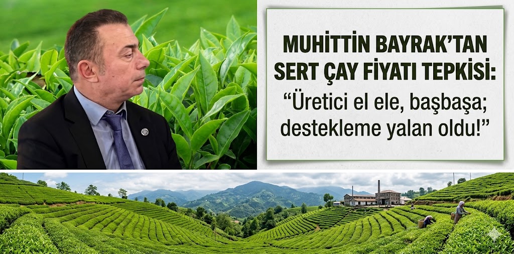 Muhittin Bayrak’tan Sert Çay Fiyatı Tepkisi: "Üretici El Ele, Başbaşa; Destekleme Yalan Oldu!"