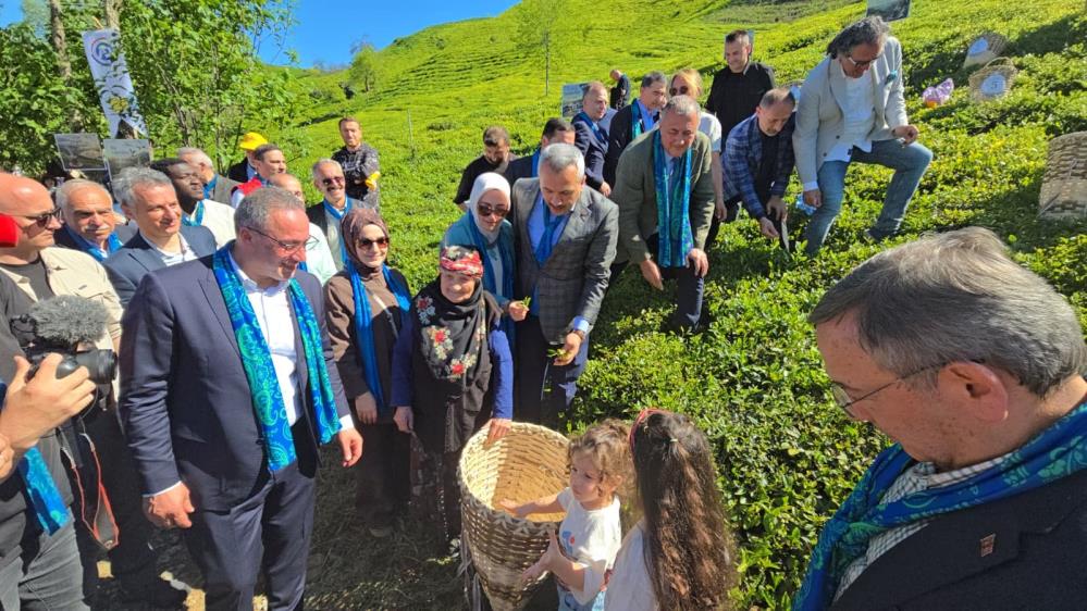 Rize’de Yeni Çay Sezonu Coşkuyla Karşılandı