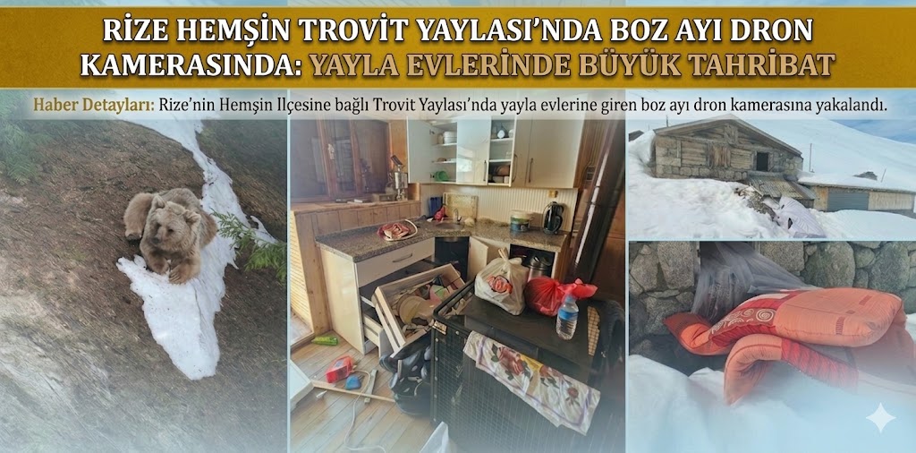 Rize'de Yaylada Gece Mesaisi: Evlere Giren Boz Ayı Dronla Görüntülendi