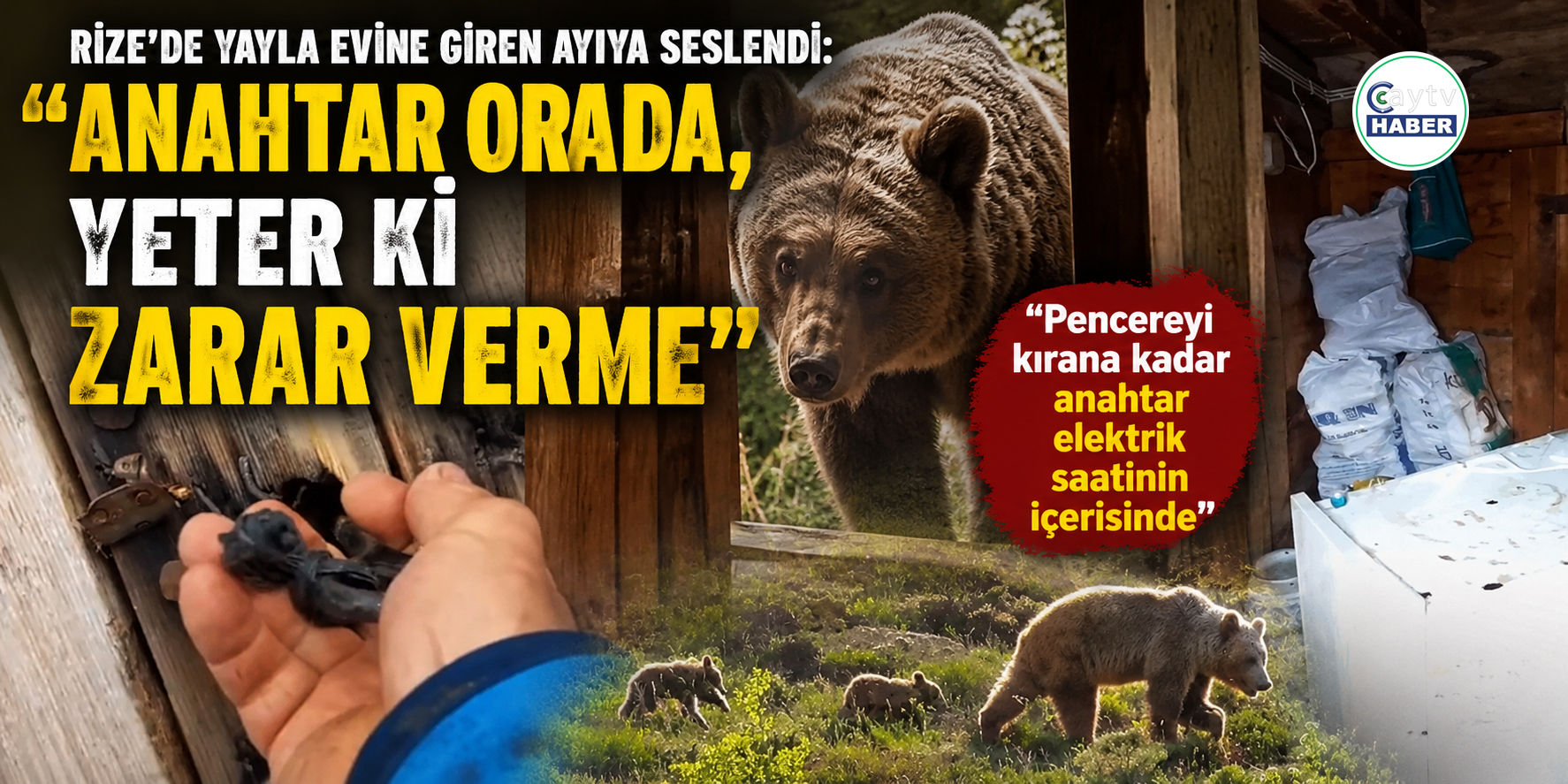 Rize’de Yayla Evine Giren Ayıya Seslendi: “Anahtar Orada, Yeter Ki Zarar Verme”