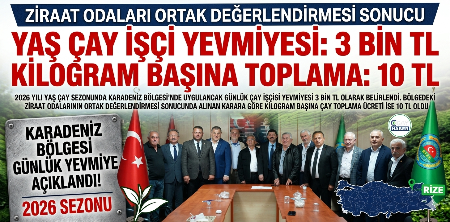 Karadeniz’de Çay İşçisi Yevmiyesi 3 Bin TL Oldu