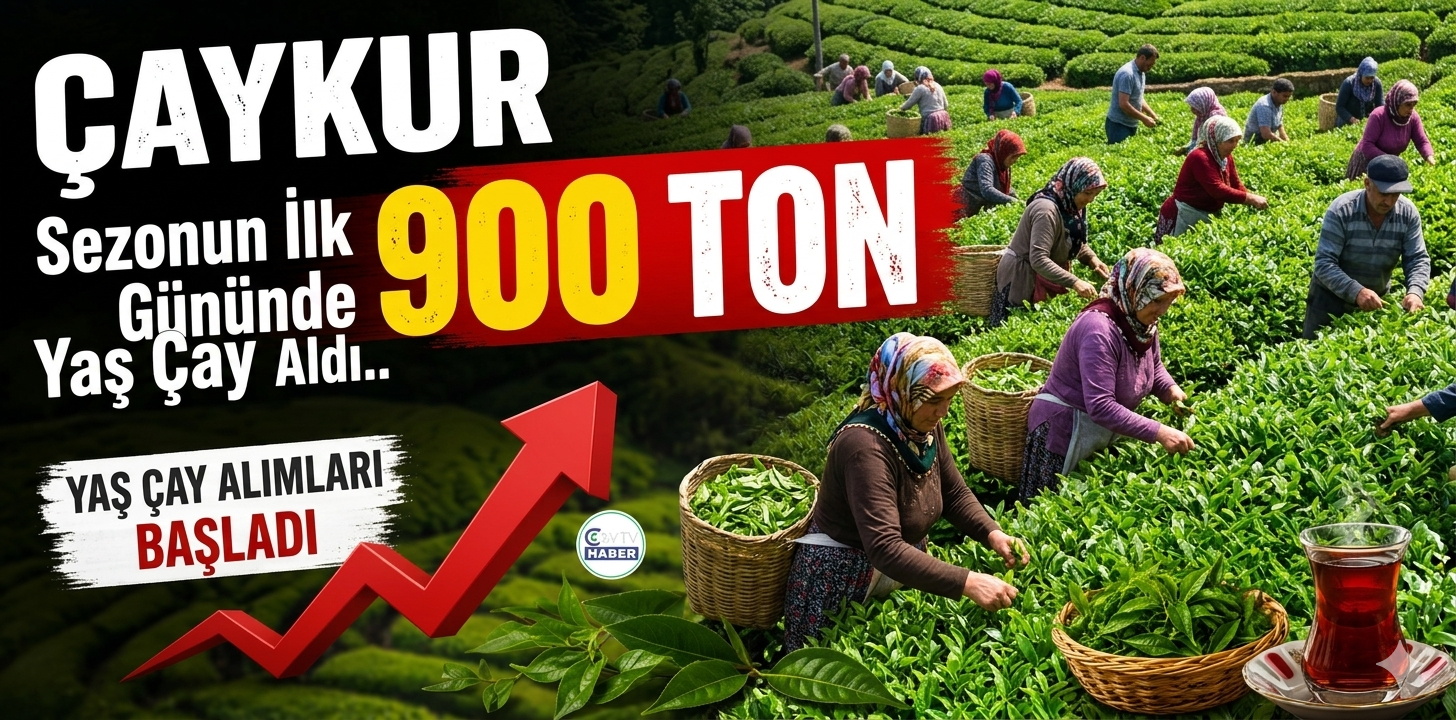 ÇAYKUR Sezonun İlk Gününde 900 Ton Yaş Çay Aldı
