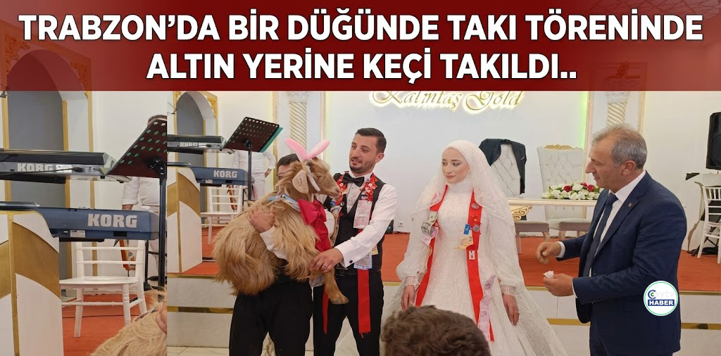 Trabzon’daki Düğünde Takı Törenine Keçi Damga Vurdu