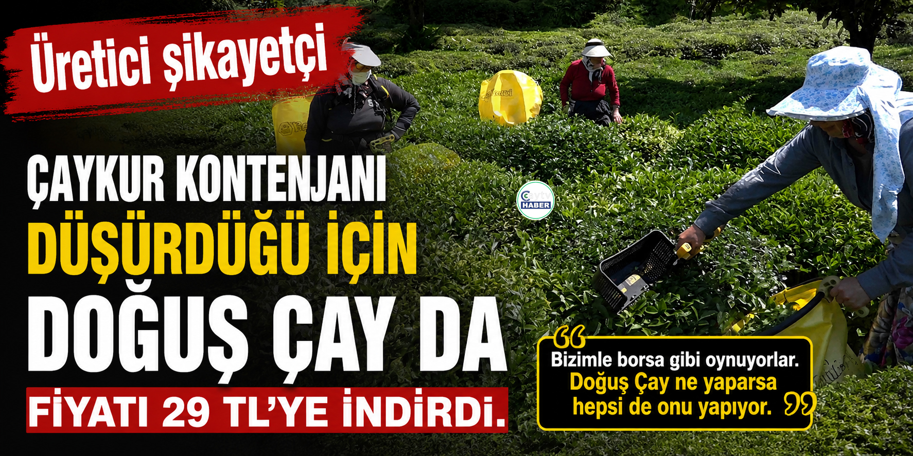 ÇAYKUR’da Kontenjan Uygulaması Başladı, Üretici Özel Sektöre Tepkili