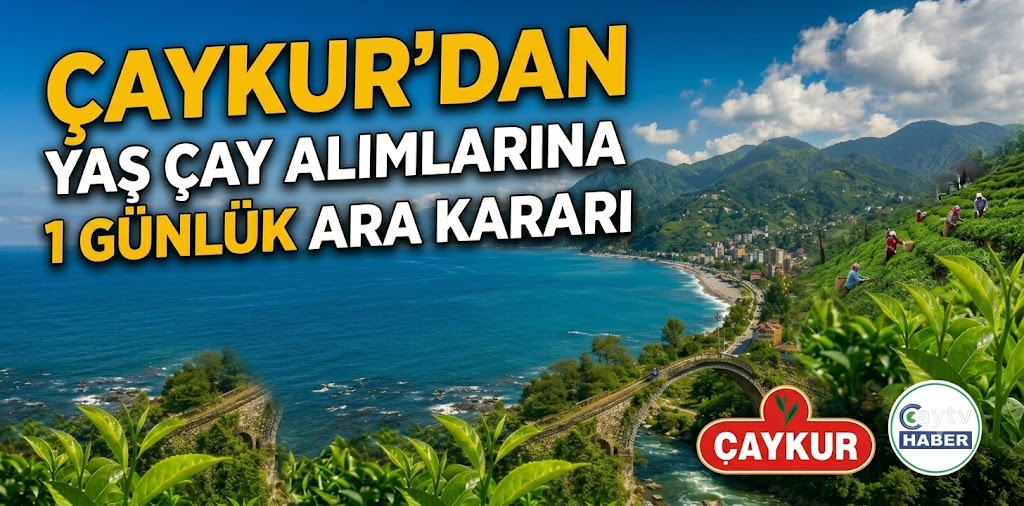 ÇAYKUR’dan Yaş Çay Alımlarına 1 Günlük Ara Kararı