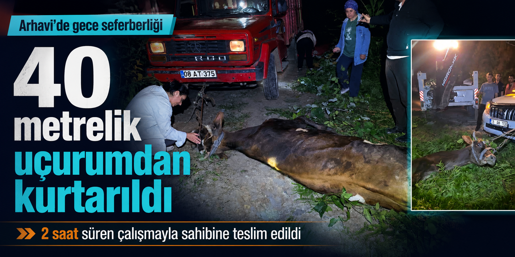 Arhavi’de Uçuruma Yuvarlanan İnek 2 Saatlik Çalışmayla Kurtarıldı