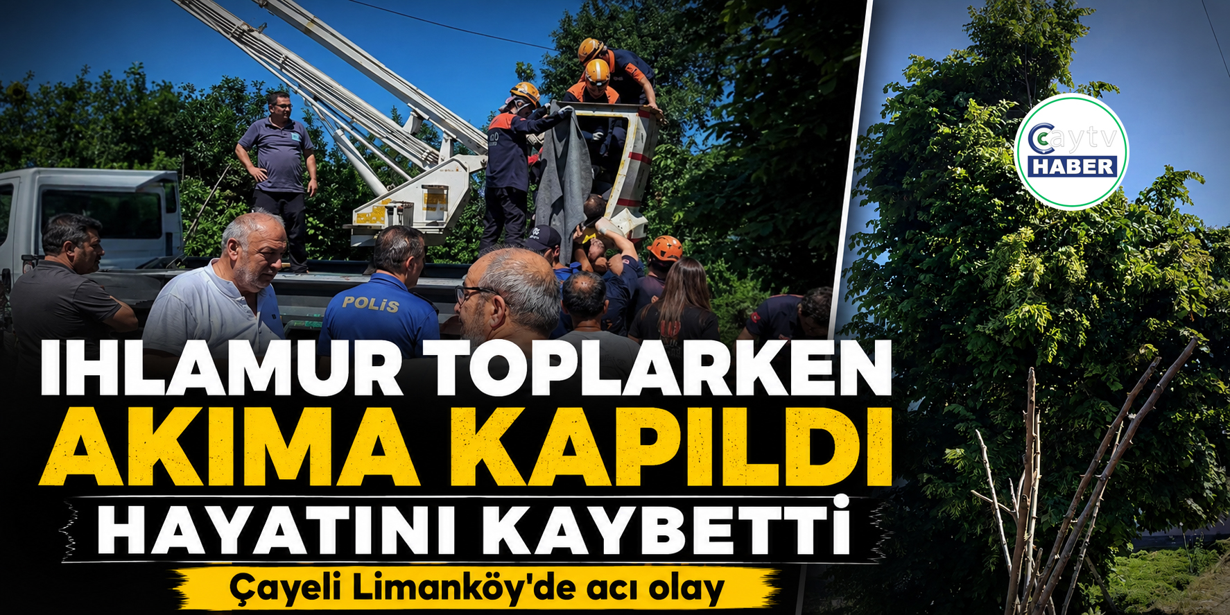 Rize’de Ihlamur Toplarken Elektrik Akımına Kapılan Vatandaş Hayatını Kaybetti