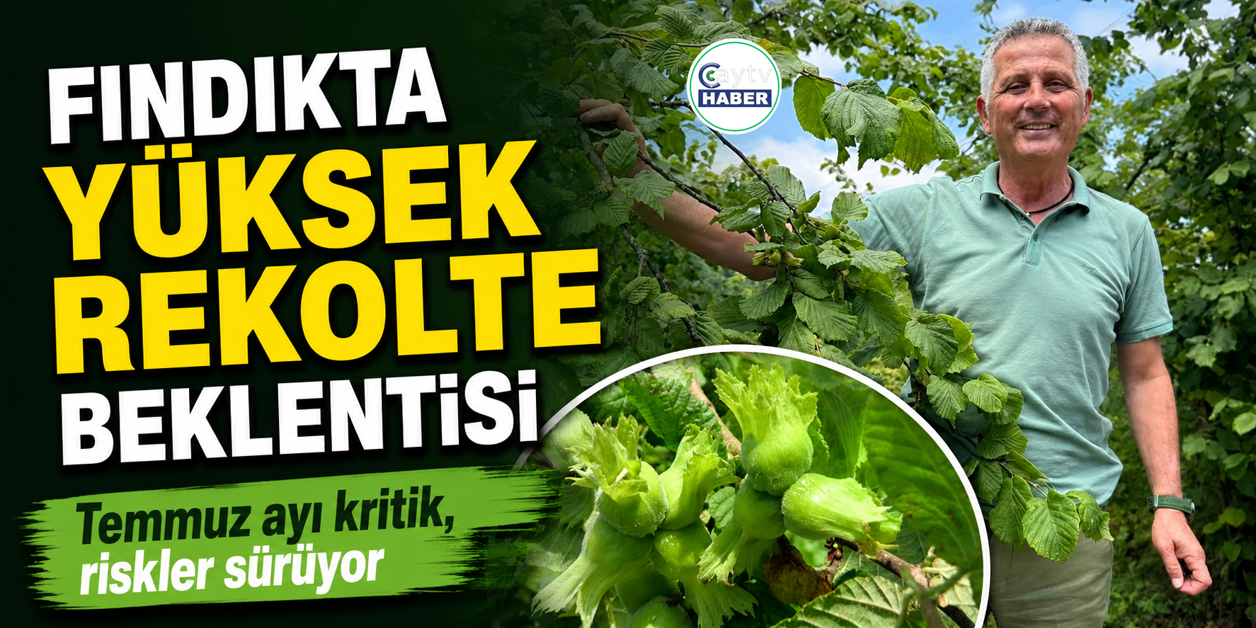 Fındıkta yüksek rekolte beklentisi: Temmuz ayı kritik