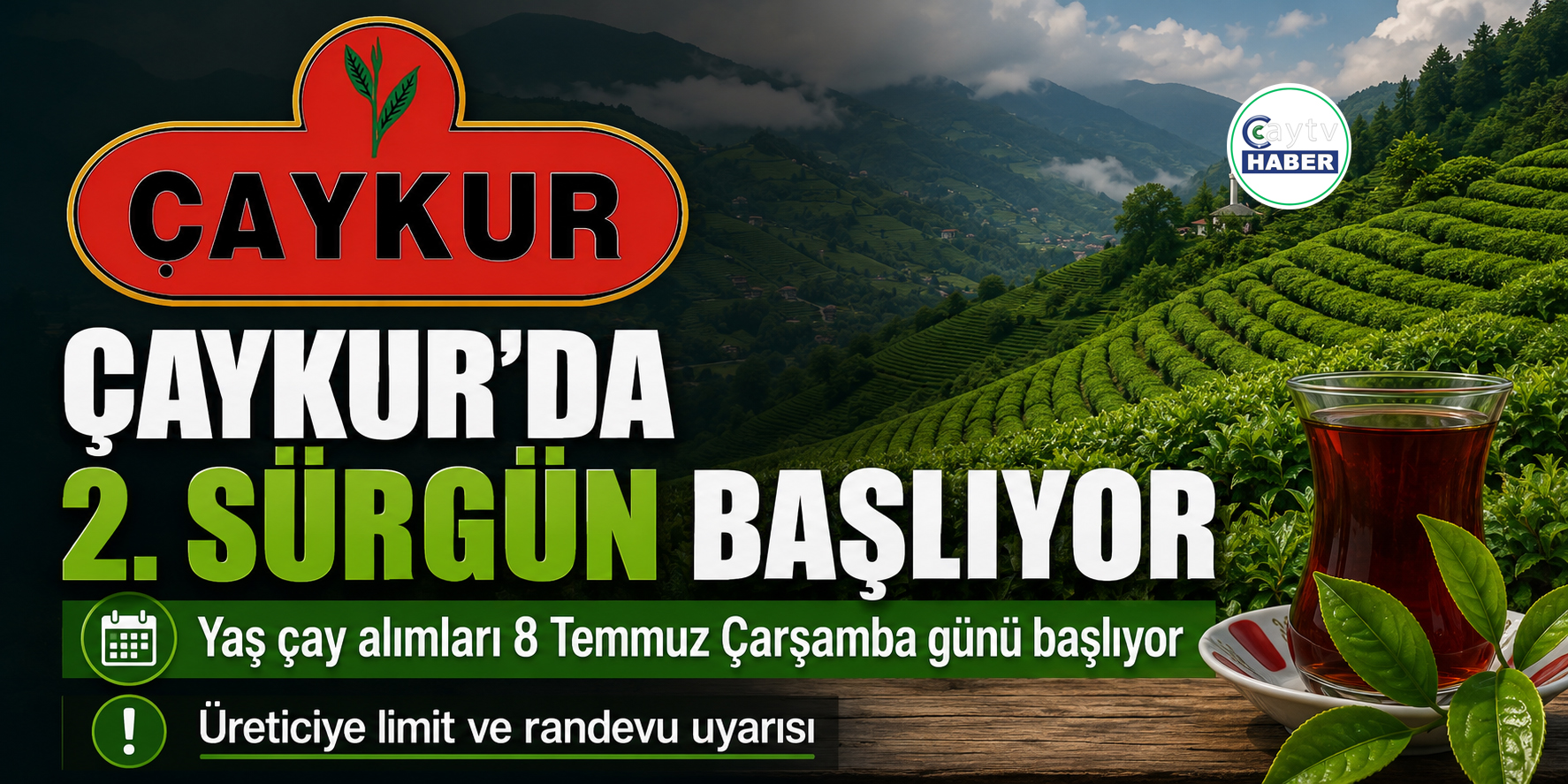 ÇAYKUR ikinci sürgün yaş çay alımlarına 8 Temmuz’da başlıyor