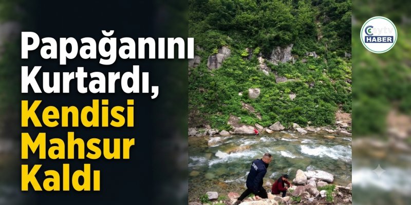 Papağanını Kurtardı, Kendisi Mahsur Kaldı