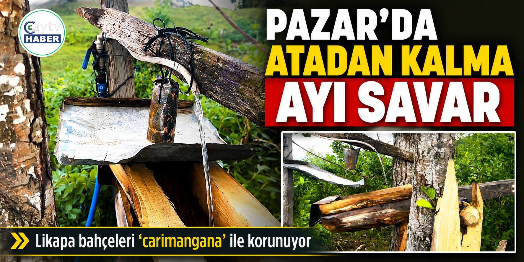 Rizelinin Atadan Kalma Ayı Savarı: ’carimangana’