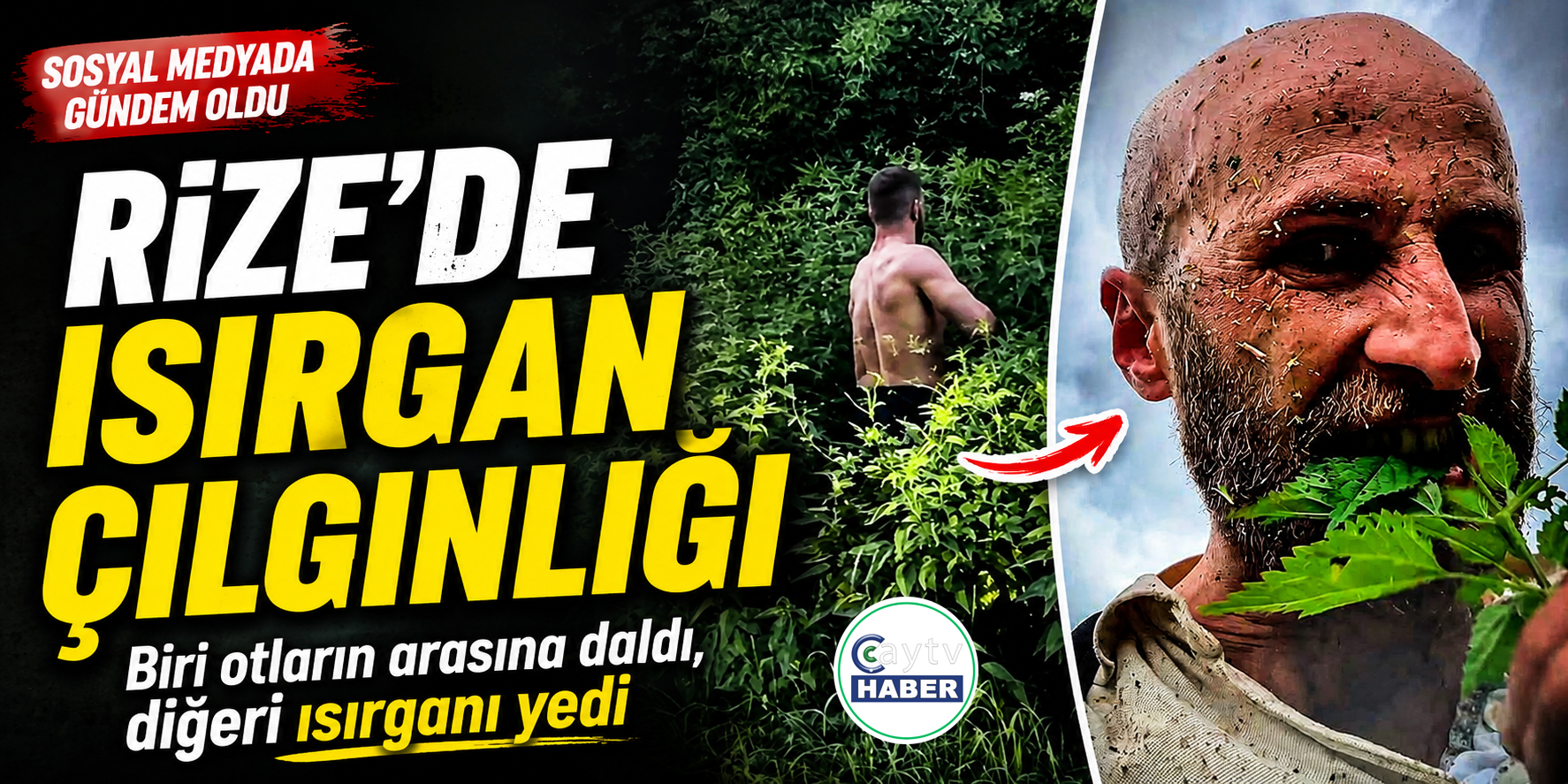 UFC dövüşçüsünün “ısırgan sınavı” Rize’de akıma dönüştü