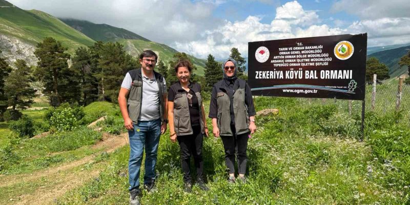 Artvin'de Yeşil Bal Sezonu Öncesi Üreticiye Destek: Bal Ormanlarında Yoğun İnceleme