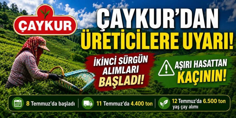 ÇAYKUR’dan Üreticiye Kritik 'Kontrollü Hasat' Çağrısı
