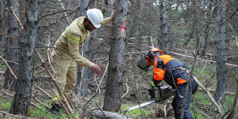 Erzurum’un Akciğerlerine Planlı Dokunuş