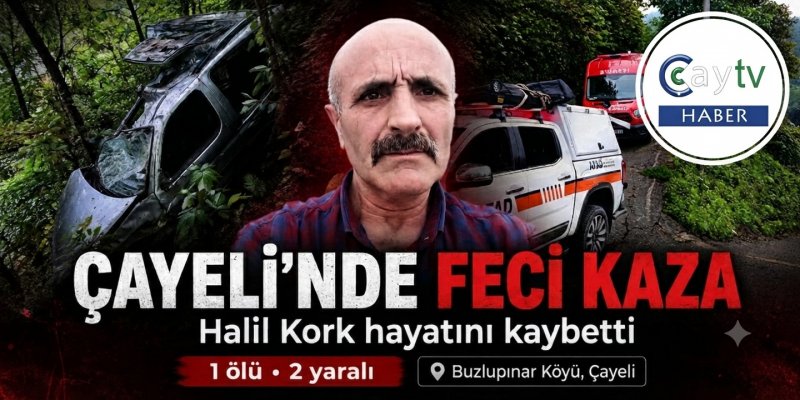 Çayeli’nde Kamyonet Şarampole Yuvarlandı: 1 Ölü, 2 Yaralı