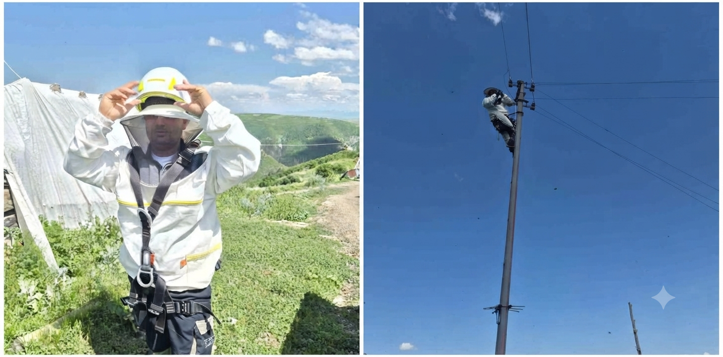 Enerji Hatlarında "Arıcı" Koruması: Aras Elektrik’ten Doğaya ve Çalışana Hassas Yaklaşımr