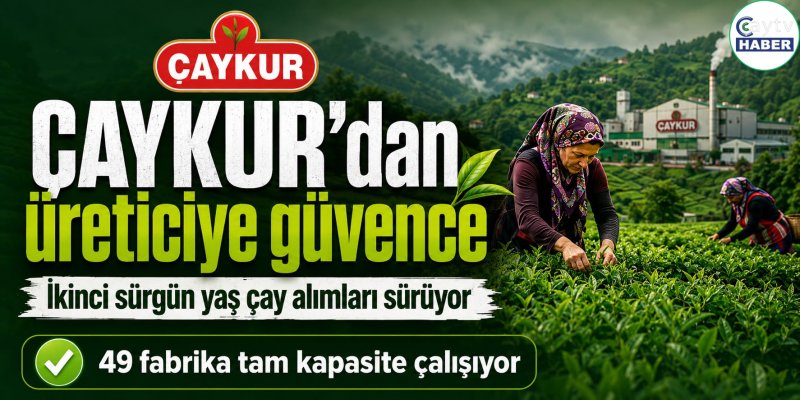 ÇAYKUR’dan İkinci Sürgün Güvencesi: “Üreticimizin Çayı Bahçede Kalmayacak”
