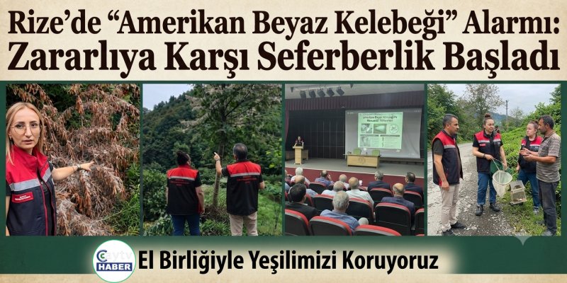 Rize’de "Amerikan Beyaz Kelebeği" Alarmı: Zararlıya Karşı Seferberlik Başladı