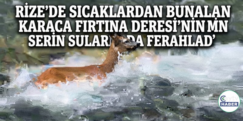 Sıcaklardan Bunalan Karaca Fırtına Deresi’nde Serinledi