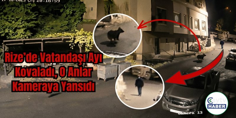 Rize’de Vatandaşı Ayı Kovaladı, O Anlar Kameraya Yansıdı