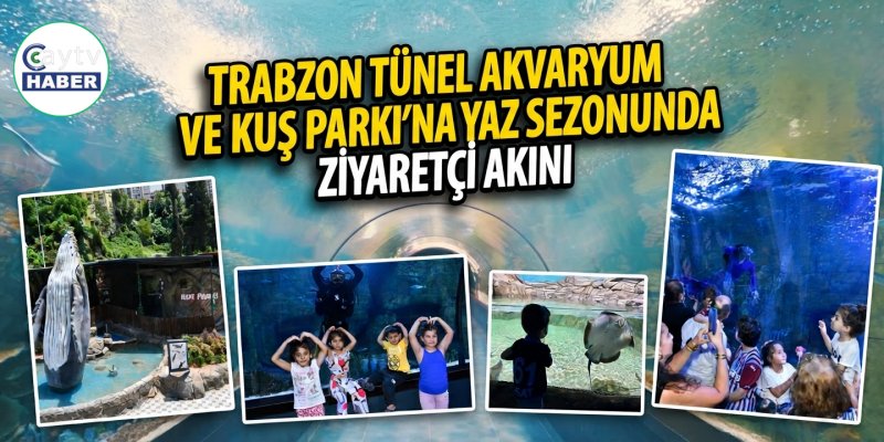 Trabzon Tünel Akvaryum ve Kuş Parkı'na Yaz Sezonunda Ziyaretçi Akını
