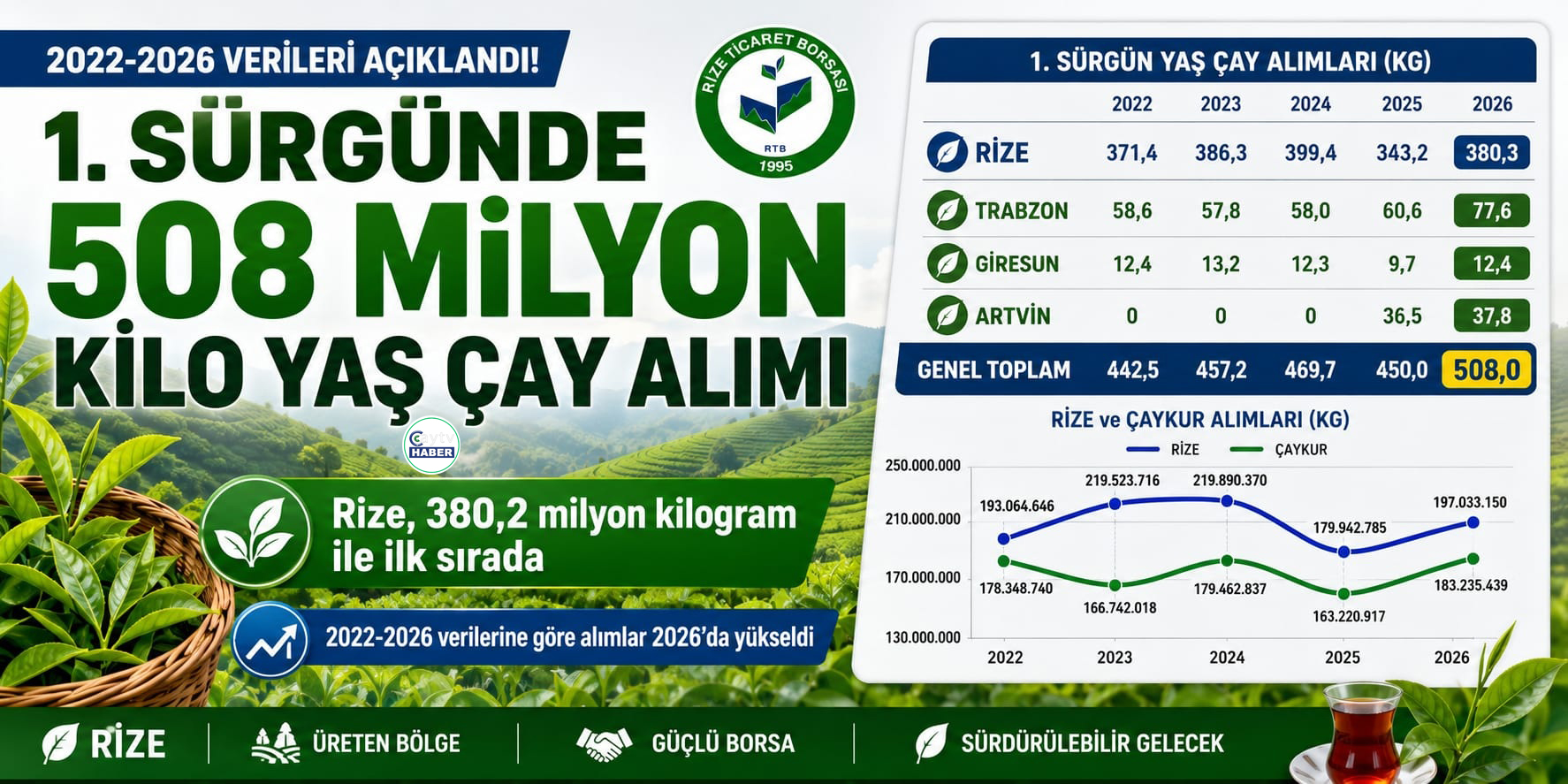 İlk sürgünde 508 milyon kilo yaş çay alındı: Yükün yüzde 75’ini Rize taşıdı