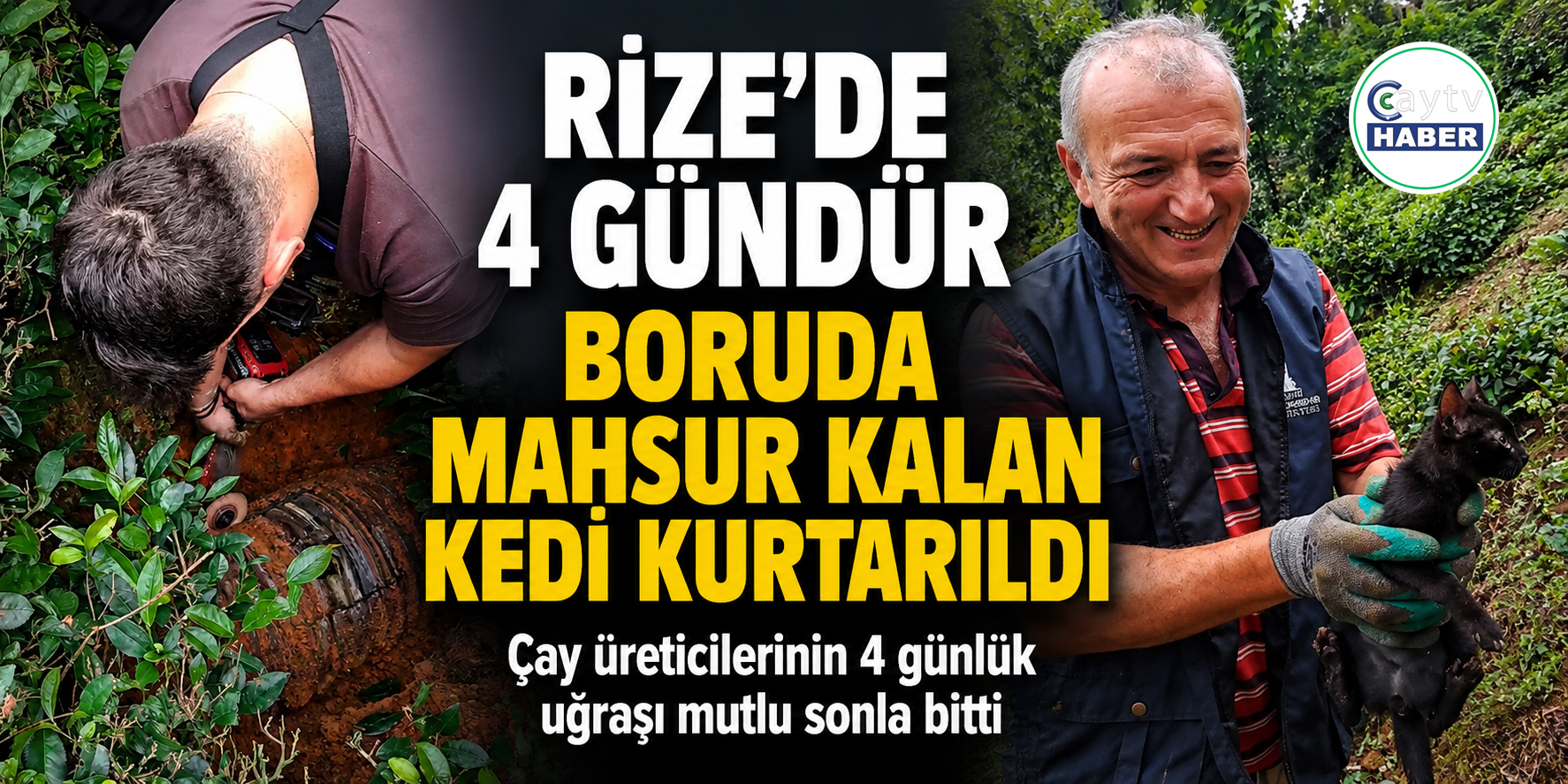 Boruda 4 gün mahsur kalan kediyi çay üreticileri kurtardı