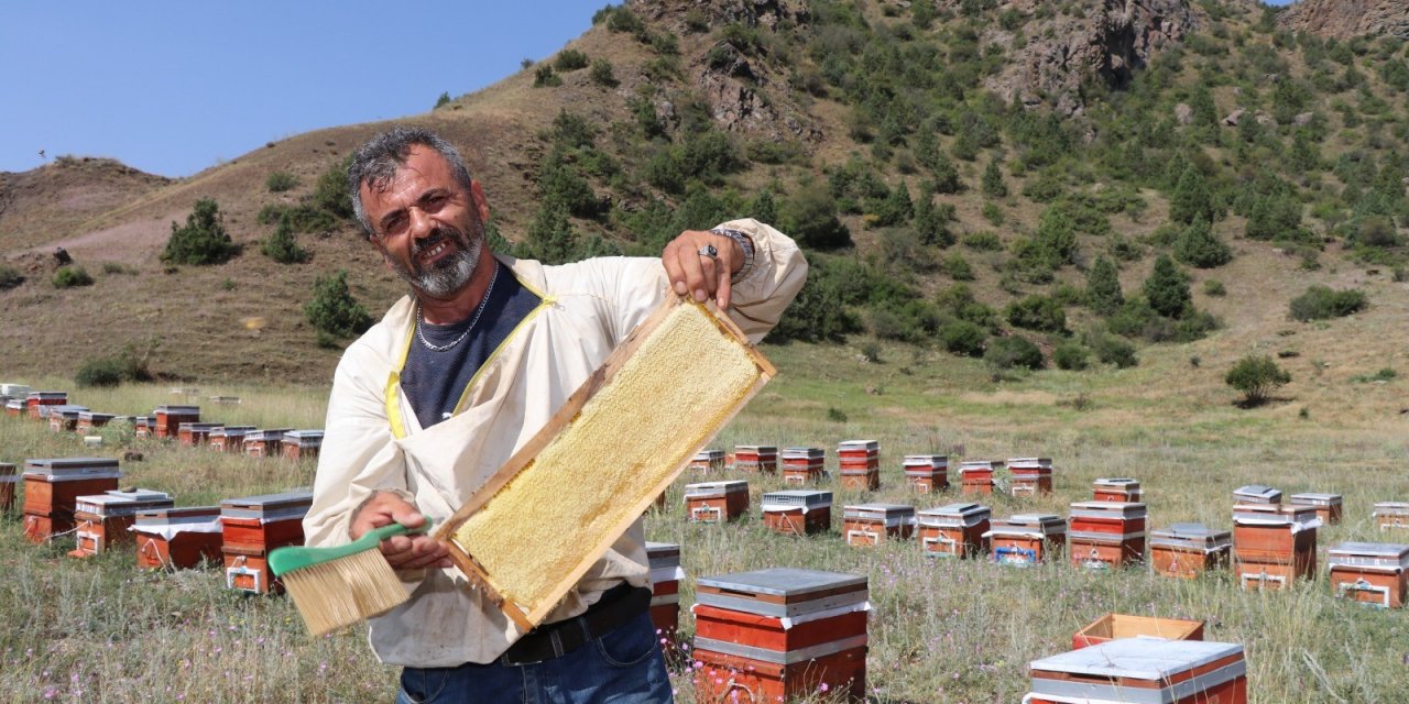 Oltu’da Sezonun İlk Bal Hasadı Yapıldı