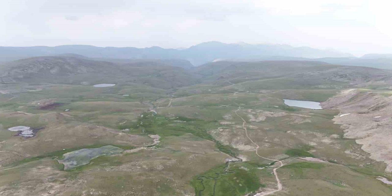 Doğa Tutkunlarının Yeni Gözdesi: Erzurum’un Saklı Güzelliği ‘mescit Dağı’ Keşfedilmeyi Bekliyor