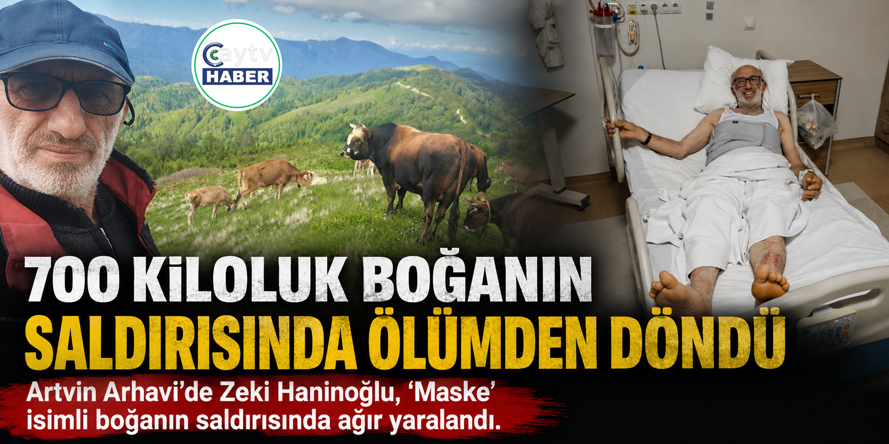 Beslediği Boğasının Saldırısına Uğradı, Oğlunun Müdahalesiyle Hayatta Kaldı