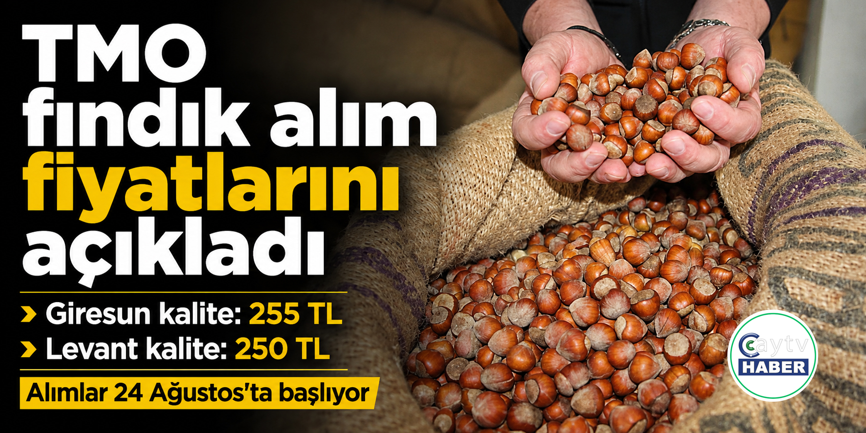 TMO Fındık Alım Fiyatlarını Açıkladı.