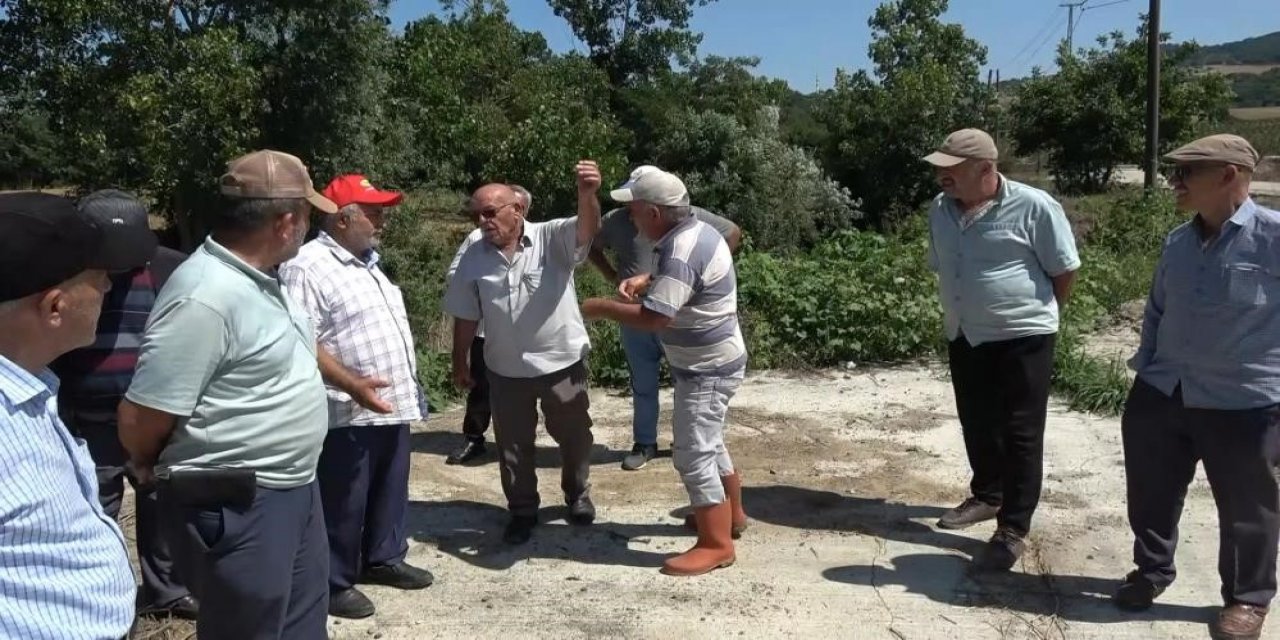Balık Ölümlerine Sebep Olan Tesise 839 Bin Tl Ceza