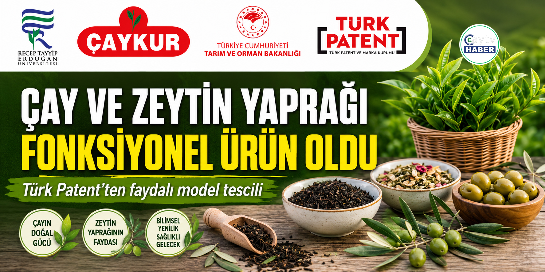 Rize’den çayda dikkat çeken buluş: Zeytin yaprağıyla geliştirilen ürün tescillendi