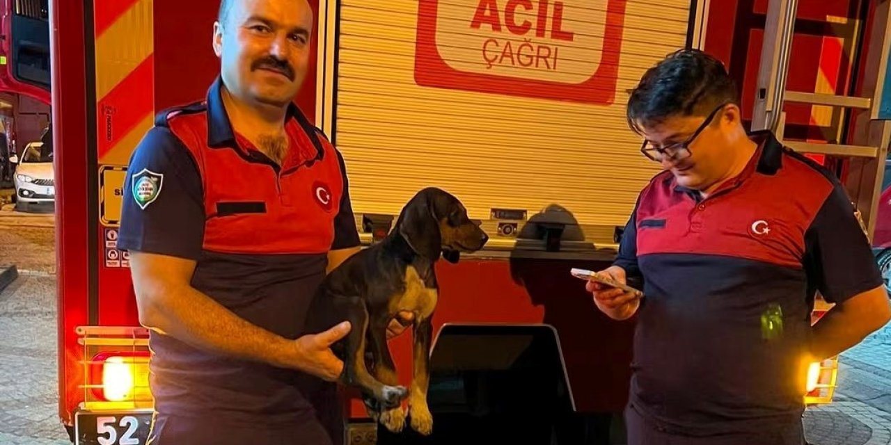 Depoya Düşen Köpek, İtfaiye Ekiplerince Kurtarıldı