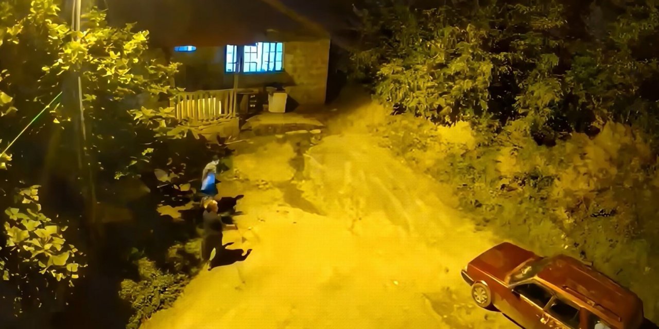 Cesaretleri Ayının Sesini Duyana Kadardı