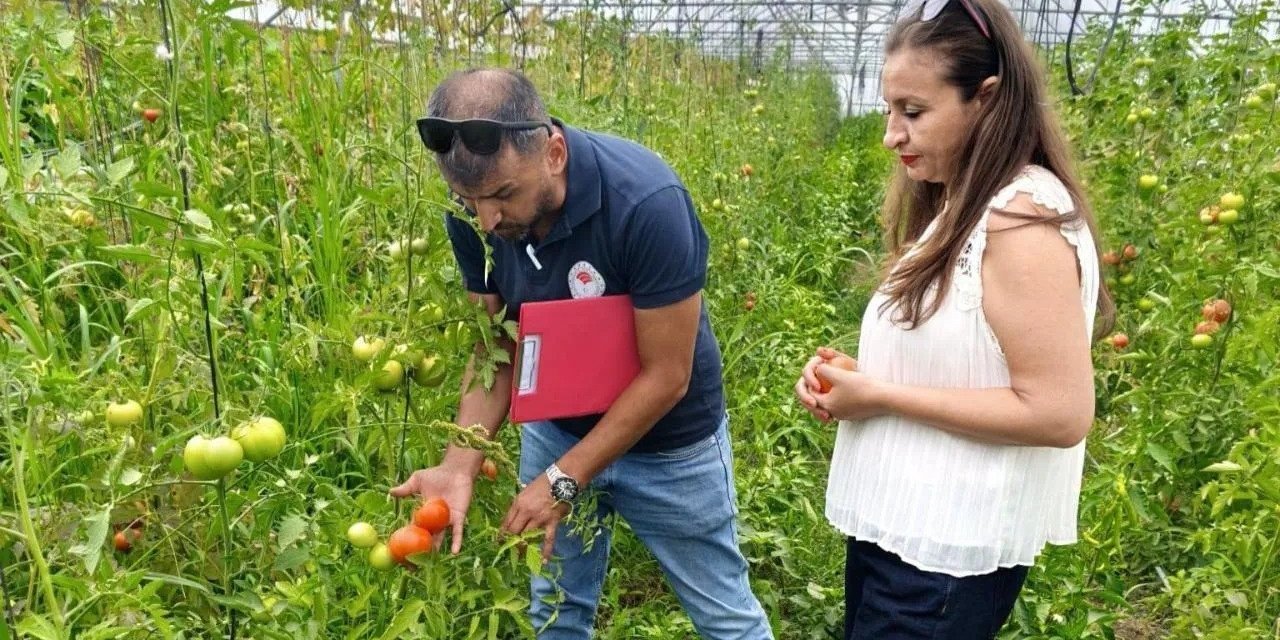 Tarım Projeleri Meyvelerini Vermeye Başladı