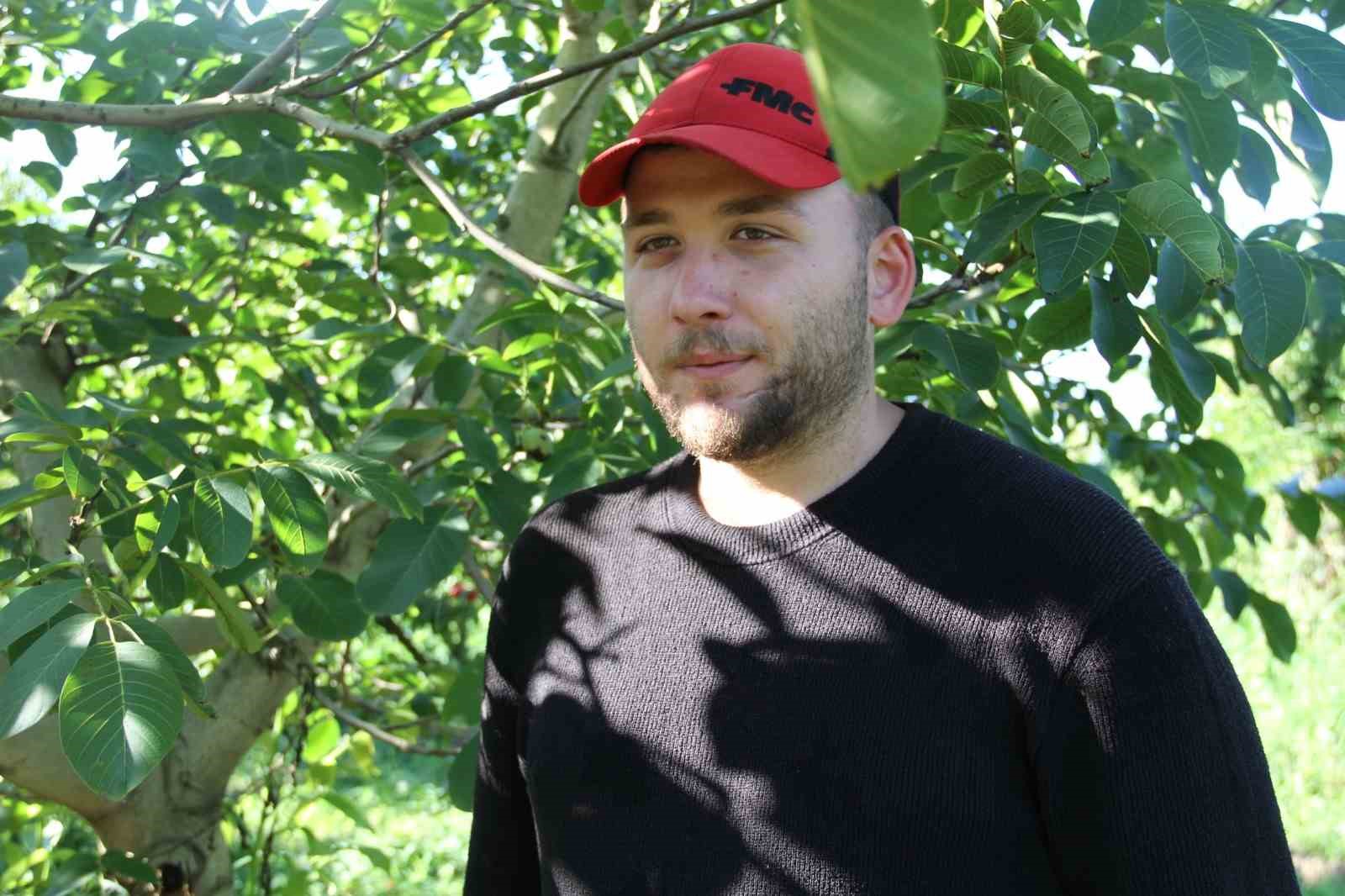 Samsun’da Amerikan Tipi Ceviz Üretiminde Artış
