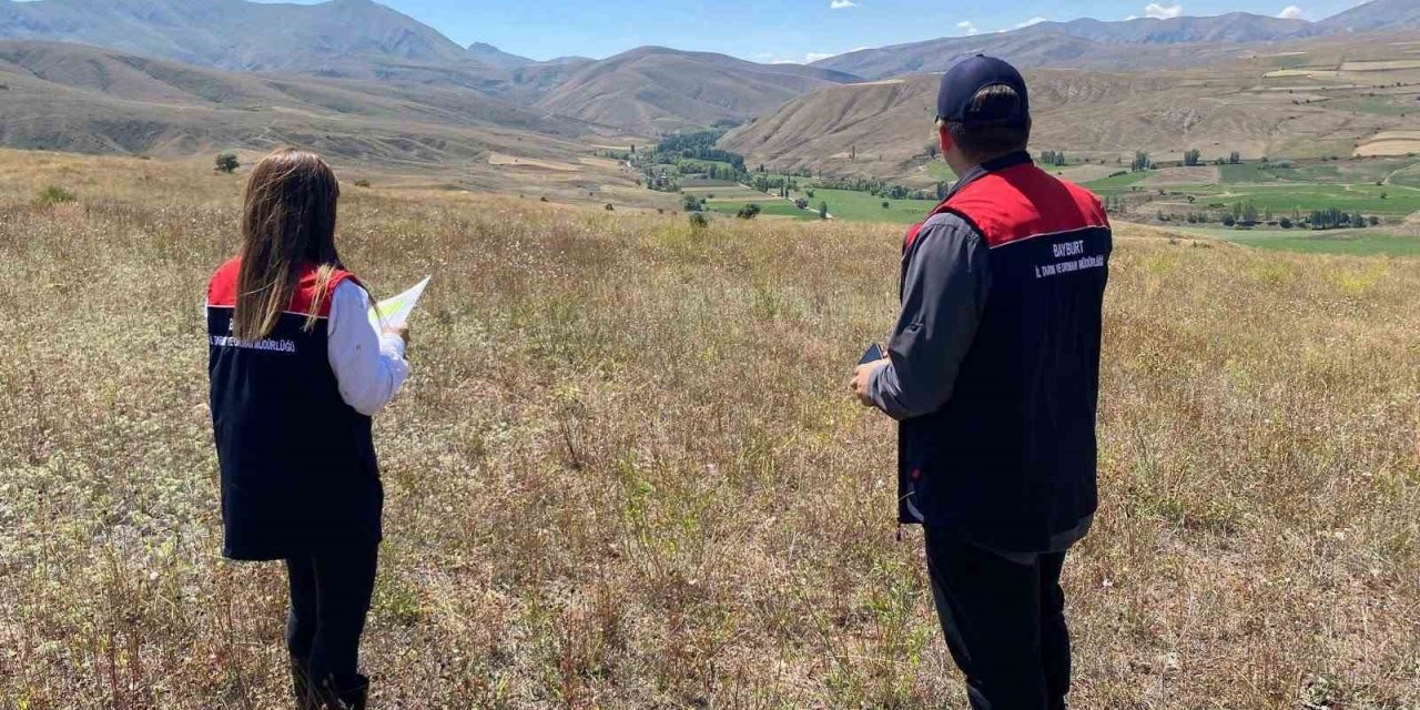 Bayburt’ta İşlenmeyen Tarım Arazileri İçin Saha Çalışması Sürüyor