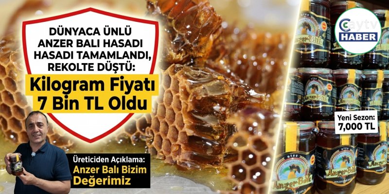 Dünyaca Ünlü Anzer Balında Hasat Tamamlandı, Rekolte Düştü: Kilogram Fiyatı 7 Bin TL Oldu