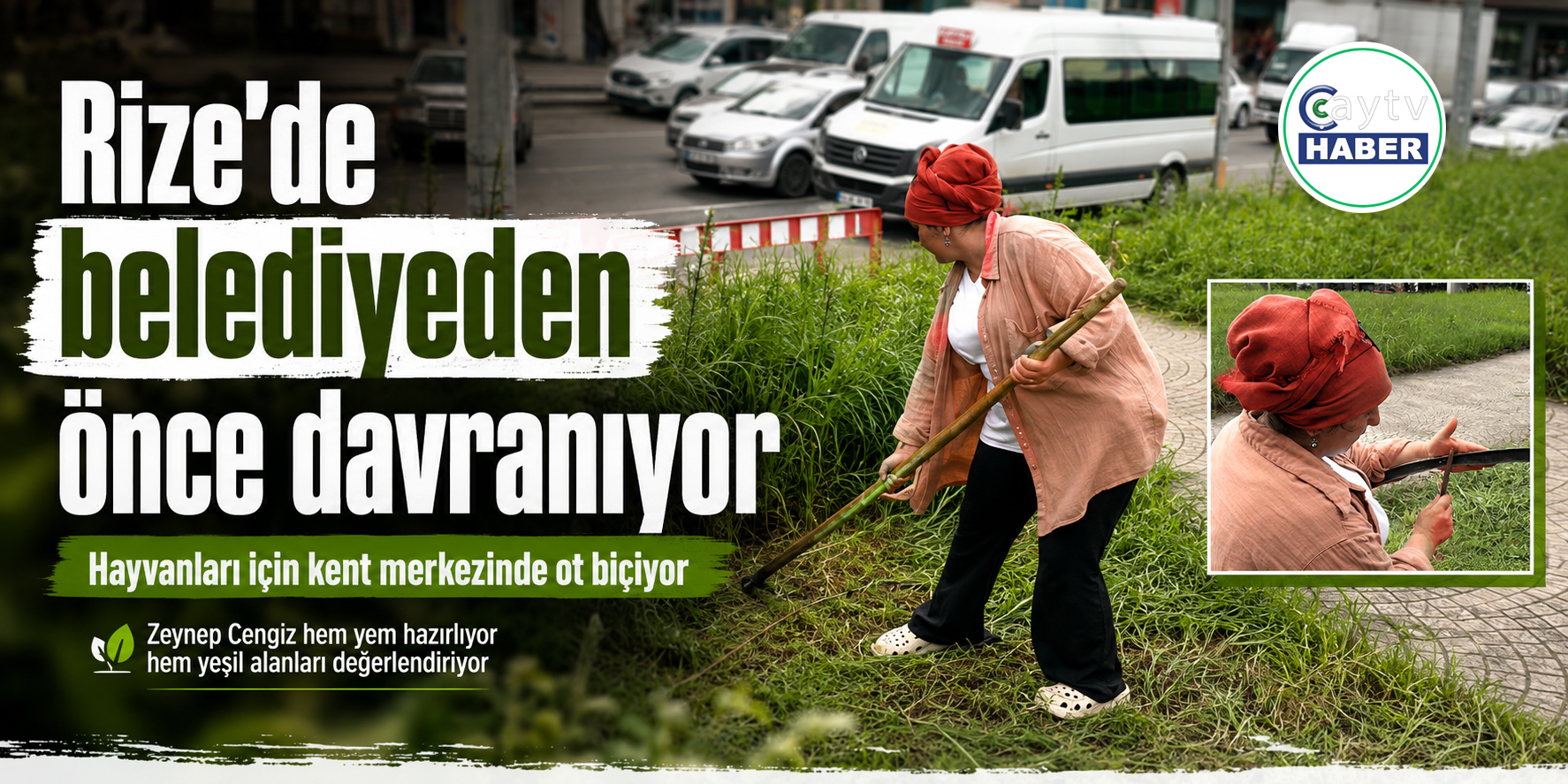 Rize’de belediyeden önce davranıyor: Hayvanları için kent merkezinde ot biçiyor