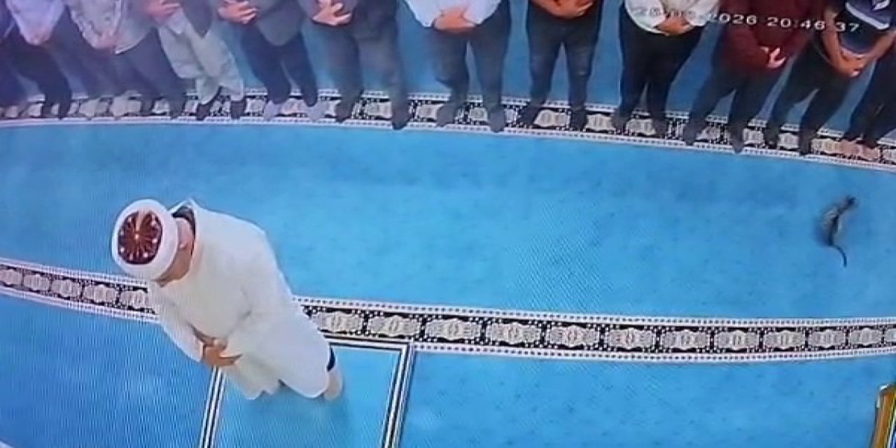 Camide Kediyi Tekmeleyen Şahsa Sosyal Medyada Tepki Yağdı: Başsavcılık Harekete Geçti, Gözaltına Alındı