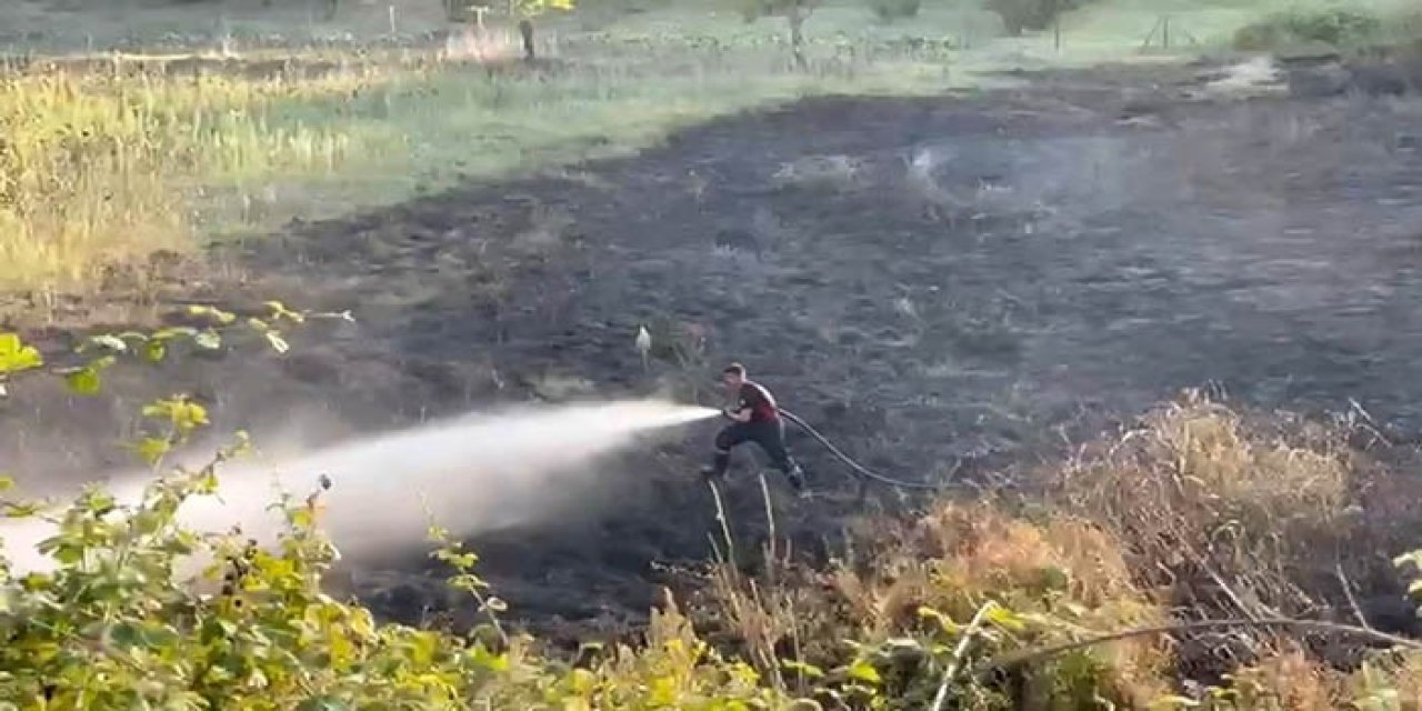 Tarlada Yakılan Ateş Otluk Alana Sıçradı: 4 Dönüm Alan Zarar Gördü