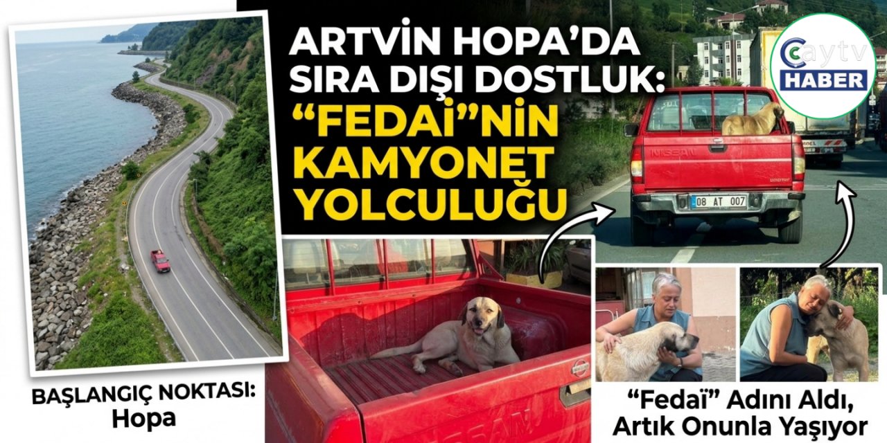 Artvin Hopa'da Kamyonet Kasasında Başlayan Yolculuk Sıra Dışı Bir Dostluğa Dönüştü: "Fedai" Adını Aldı