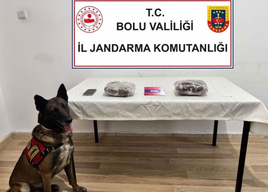 Tem’de Yolcu Otobüsünde 810 Gram Esrar Ele Geçirildi; 1 Tutuklama