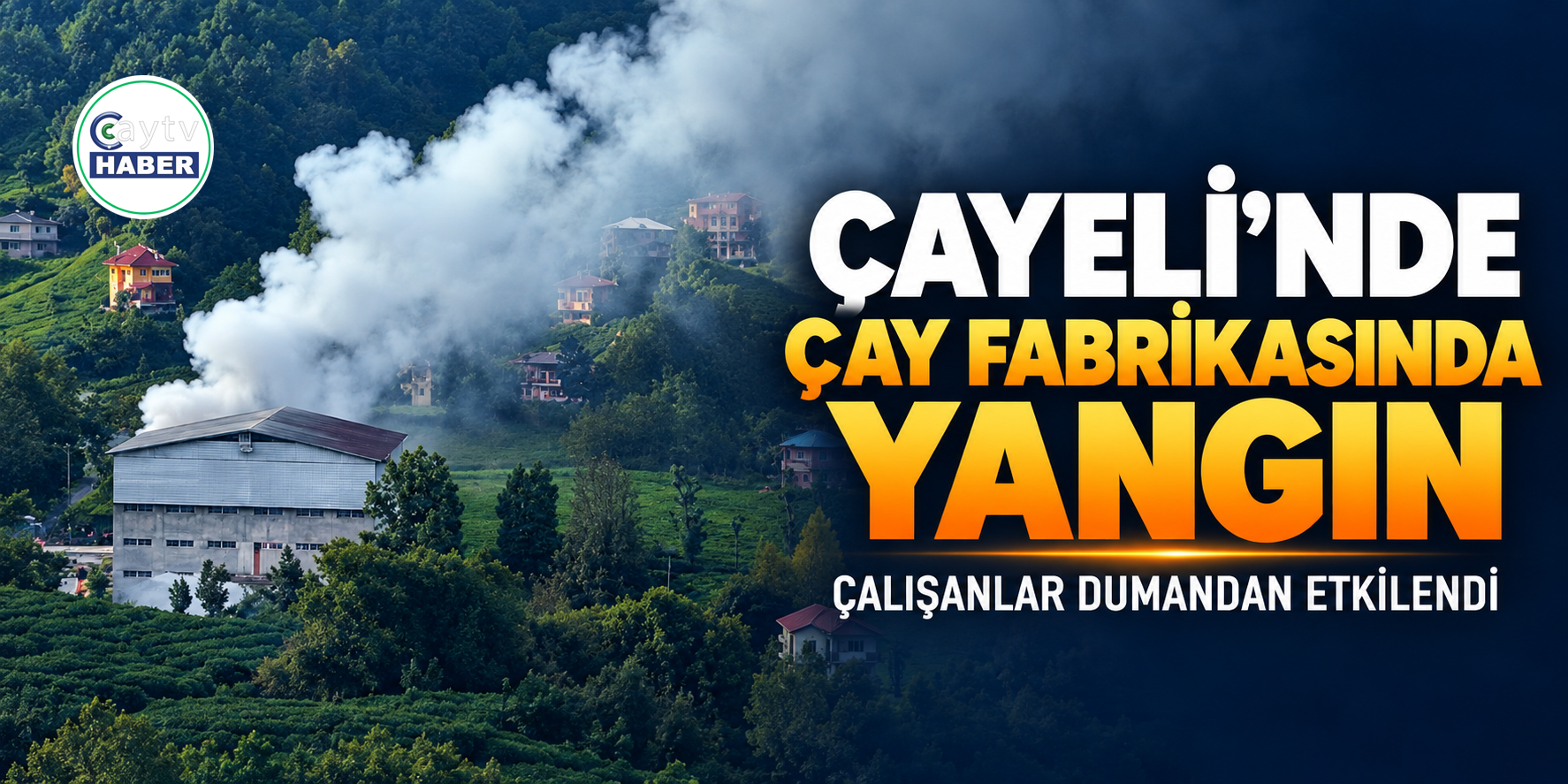 Çayeli’ndeki çay fabrikasında yangın: Çalışanlar dumandan etkilendi